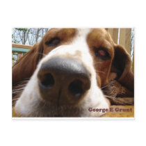 George Post Card