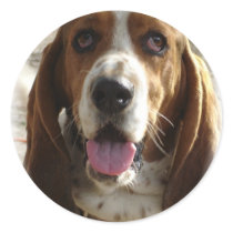 George Sticker
