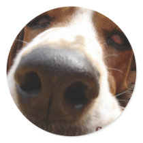 George Round Stickers