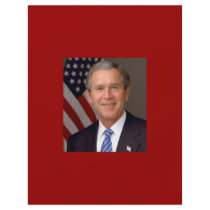 George W. Bush flyers