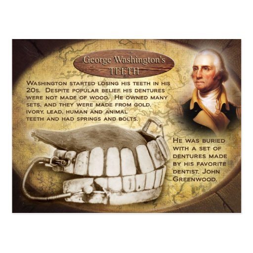 Washington's Teeth (Dentures) Postcard Zazzle