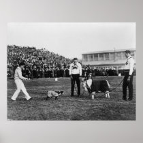 Georgetown Navy Game, G. W. Bulldog and Navy Goat Print