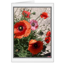 Georgetown Poppies I Card