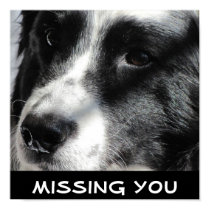 Georgia April 5 2009 012, Missing You posters