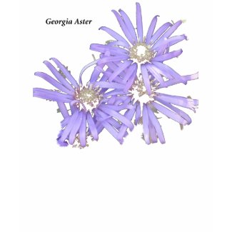 Georgia Aster zazzle_shirt