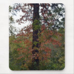 Georgia Autumn Tree-030 Mousepad