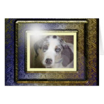Georgia Boy cards by Catahoula Georgia Boy cards