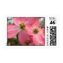 Georgia Dogwood postage