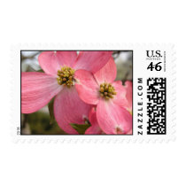 Georgia Dogwood postage