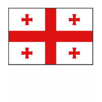 Georgia Flag and Map T-Shirt