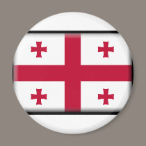 Georgia Flag magnets