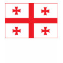Georgia Flag T-shirt shirt