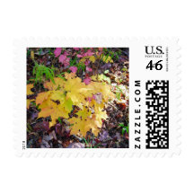 Georgia Forest Floor Autumn Stamps