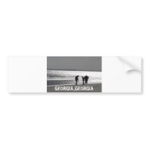 Georgia..Georgia bumper stickers