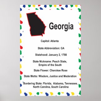Georgia Information Educational Poster