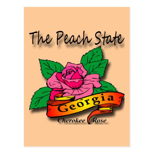 Georgia Peach State Cherokee Rose Postcard Zazzle