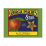 Georgia Peaches Postcards Georgia Peaches Postcards