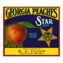 Georgia Peaches Poster posters by FRUITLOOPY Georgia Peaches Poster posters