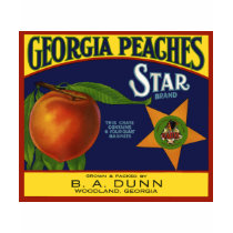 Georgia Peaches t-shirts by FRUITLOOPY Georgia Peaches t-shirts