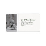 Georgia snow 2010 personalized address labels