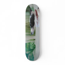 georgiaandicytreesk skateboards