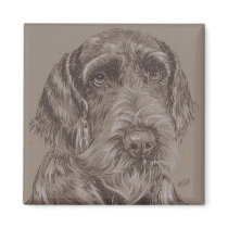 Ger. Wire-Haired Pointer magnets