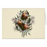 Geraldton Wax, Flannel Flowers, Banksia Greeting Card