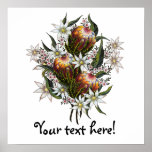Geraldton Wax, Flannel Flowers, Banksia Posters