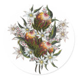 Geraldton Wax, Flannel Flowers, Banksia Round Stickers