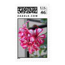 Geranium 5126 postage by Just_For_Mom Geranium 5126 postage