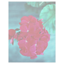 Geranium bloom head, Whitby, Ontario, Canada Custom Letterhead