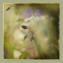 Geranium Buds posters by OccasionalOasis Geranium Buds posters