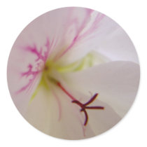 Geranium Center Stickers