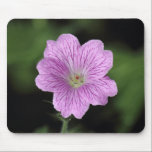 Geranium Endressii mousepads