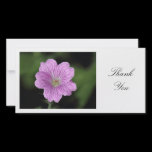 Geranium Endressii - Thank You photo cards