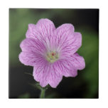 Geranium Endressii tiles