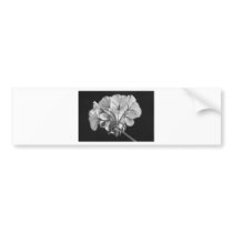Geranium Flower In Progress Black and White Bumper Sticker