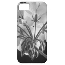 Geranium Flower In Progress Black and White iPhone 5 Covers