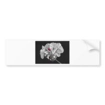 Geranium Flower In Progress Bumper Stickers