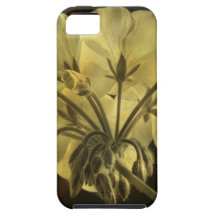 Geranium Flower Texture iPhone 5 Cases