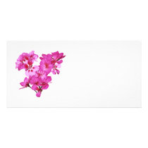 Geranium Heart photo cards