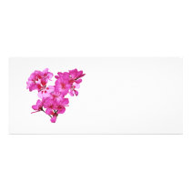 Geranium Heart rack cards