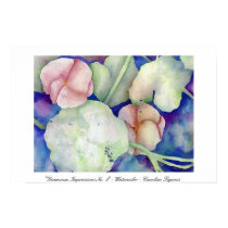 Geranium Impressions No. 2 Caroline Tigeress posters