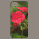 Geranium iphone 5 cases. casemate cases