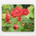 Geranium mousepads