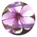 Geranium Sticker by ggbythebay Geranium Sticker