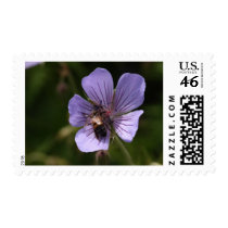 Geranium with Bee Postage Stamp