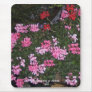 Geraniums, Algorfa, Spain.  Mousemat