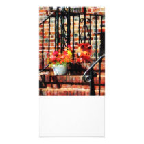 Geraniums and a Pig Photo Card Template