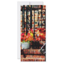 Geraniums and a Pig Rack Card Design